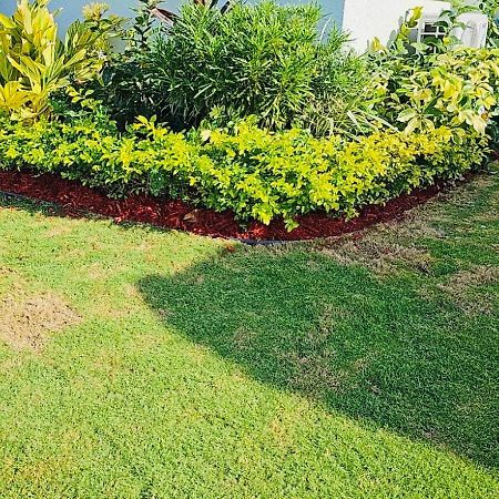 Paradise Oasis At Oceanpointe - Pool And Free Parking Lucea Exterior foto